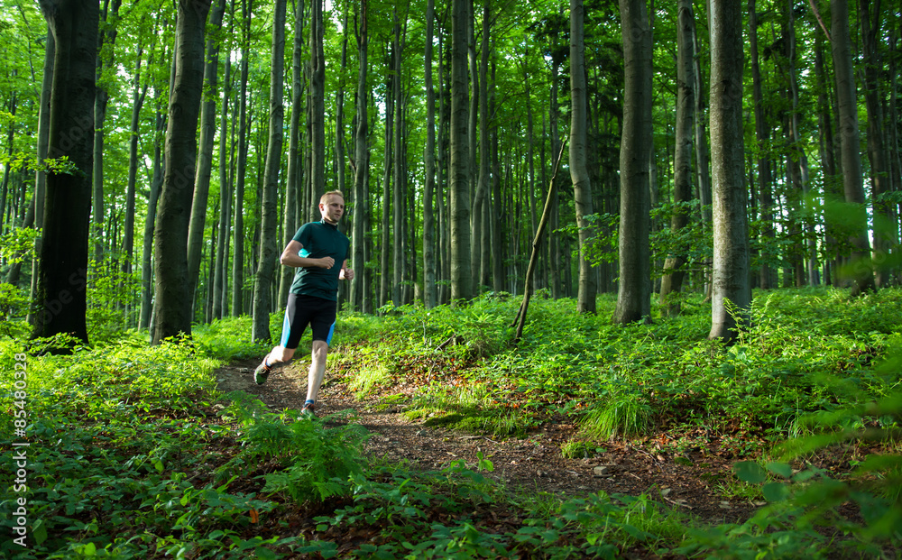young man easy running on the trail in the forest with green leaves young man easy running on the trail in the forest with green leaves