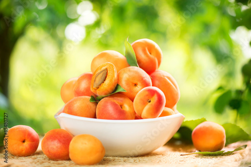Apricot. Ripe organic apricots over green nature blurred background