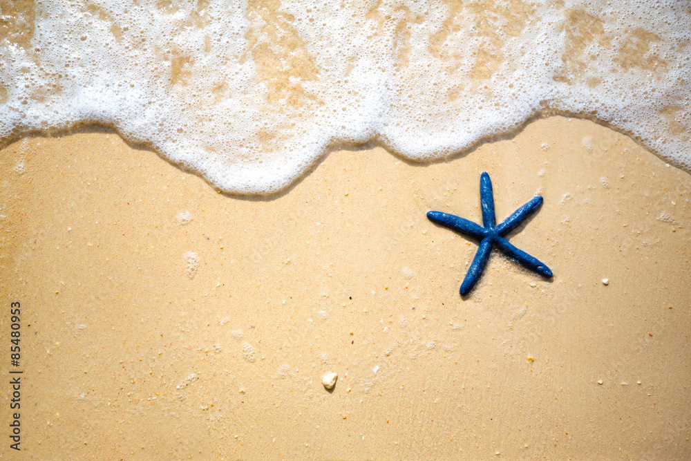 Naklejka premium Blue starfish on the sandy coast