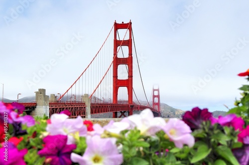 foggy day at golden gate bridge San Francisco california USA © timla