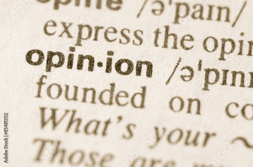 Dictionary definition of word opinion
