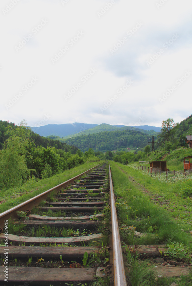 Old rails going far away to the Mountains Landscape