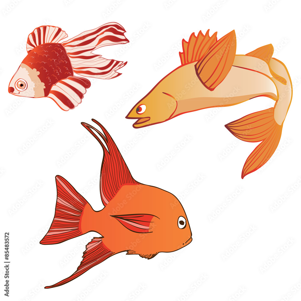 Naklejka premium Beautiful multicolored iridescent emotional fish