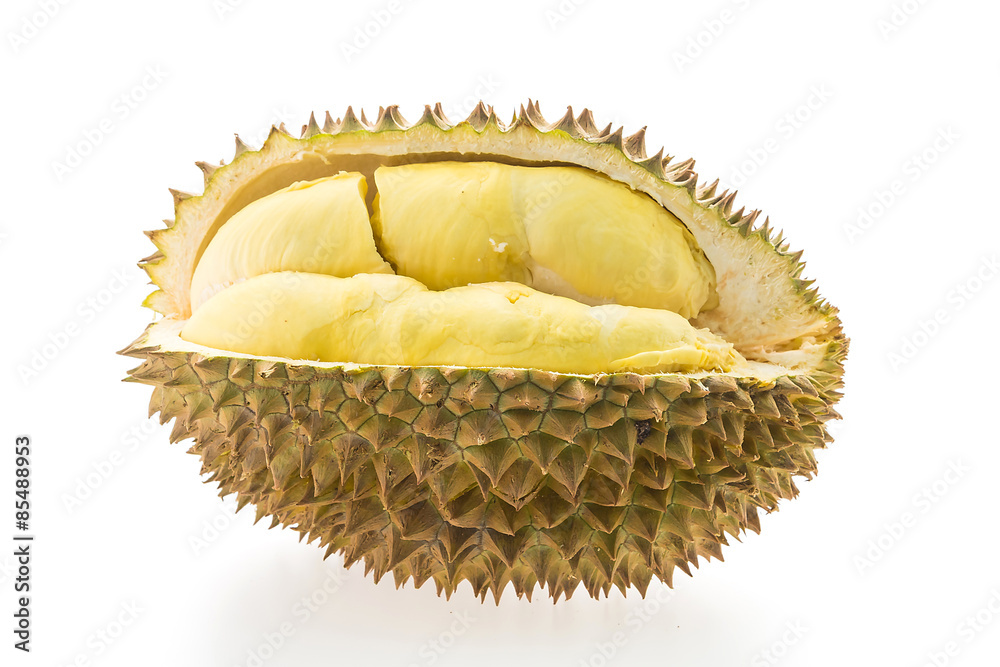 Obraz premium Durian fruit isolated