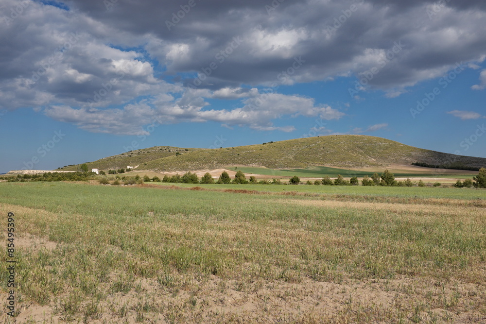 Fototapeta premium Paysage d'Andalousie, Espagne