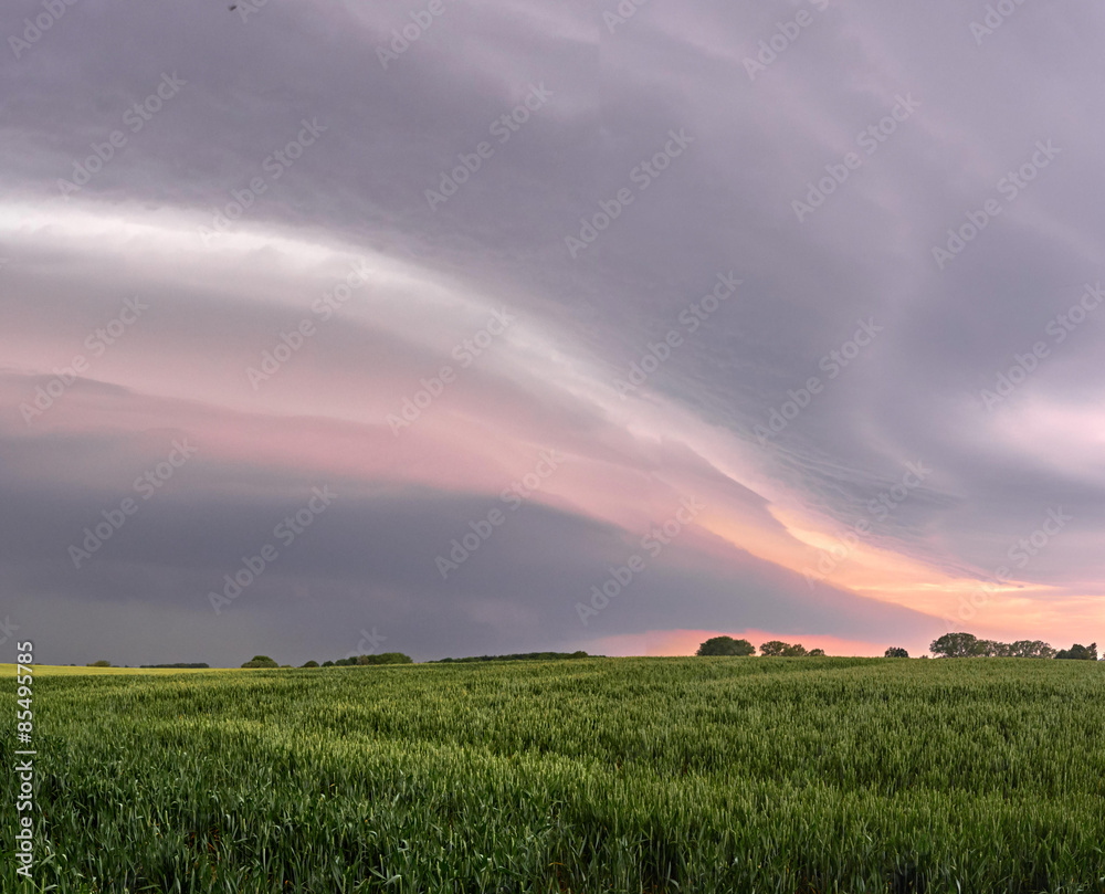 Fototapeta premium Storm clouds darken the sky over a field of rhye