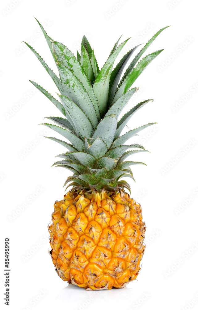 Pineapple isolated on the white background Pineapple isolated on the white background