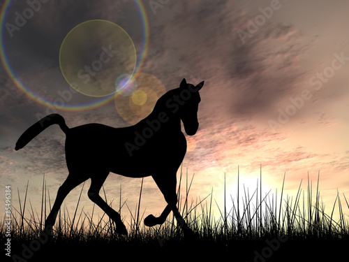 Horse silhouette in grass at sunset © high_resolution