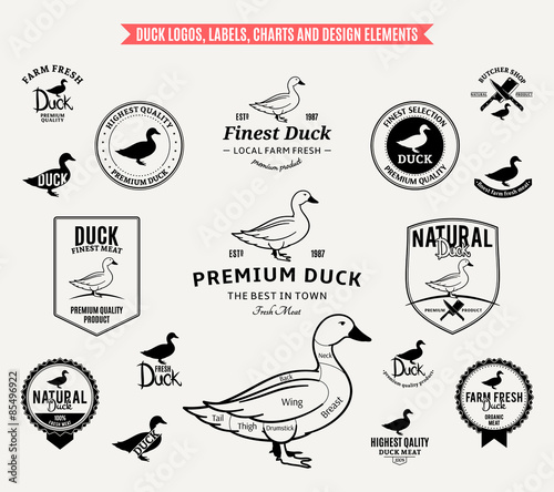 Duck Logos, Labels, Charts and Design Elements