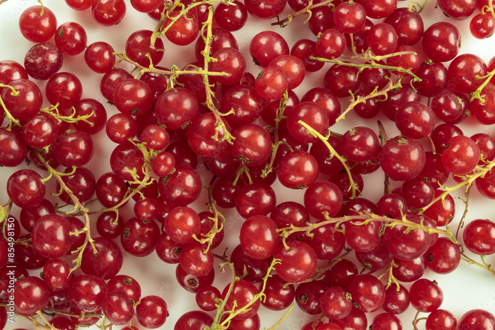 Red currant background Red currant background