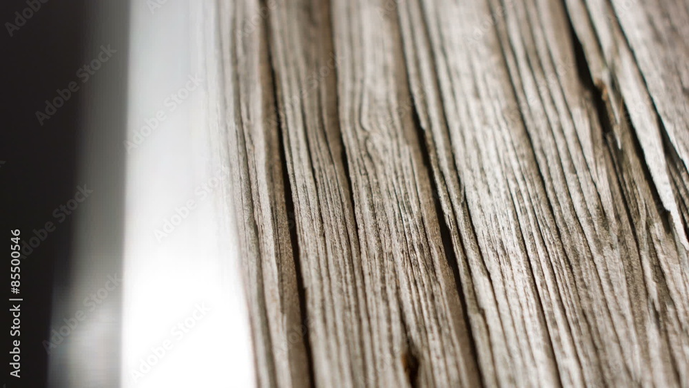 Wooden old texture close-up