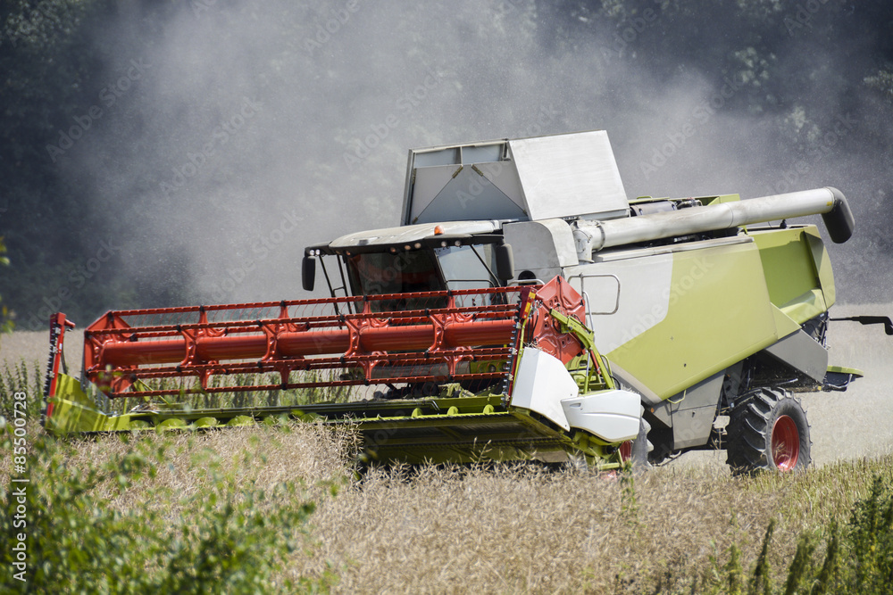 Obraz premium combine harvester