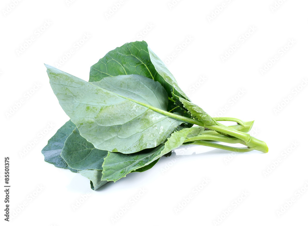 chinese broccoli on white background chinese broccoli on white background