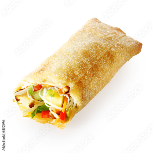 Isolated tasty Chinese spring roll