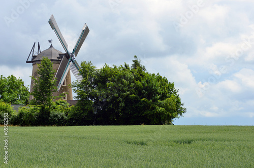 Windmill in the Fields