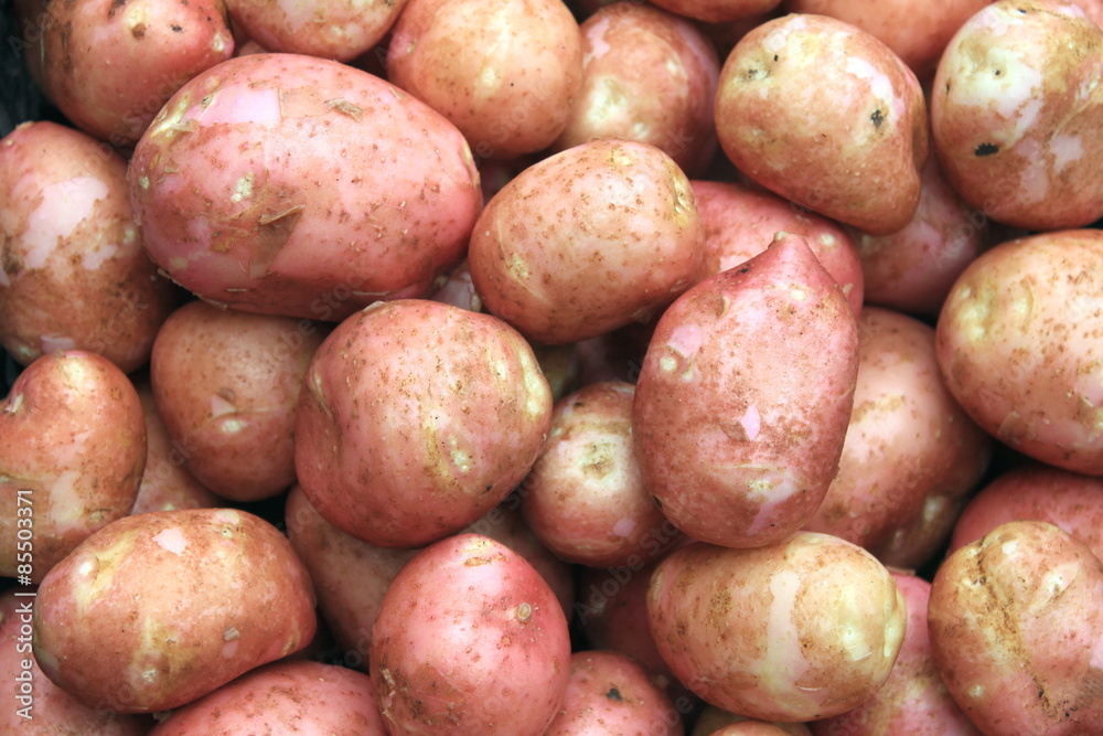 Young fresh potatoes for pattern texture and background Young fresh potatoes for pattern texture and background