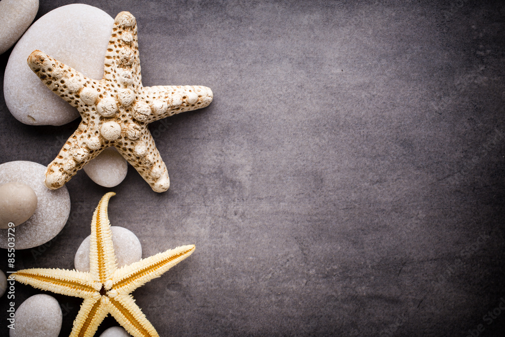 Starfish. Starfish.