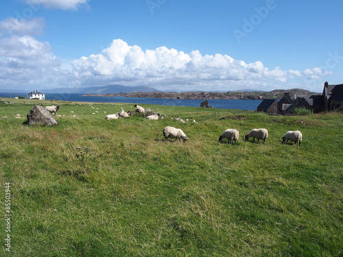 Hebrideninsel Iona