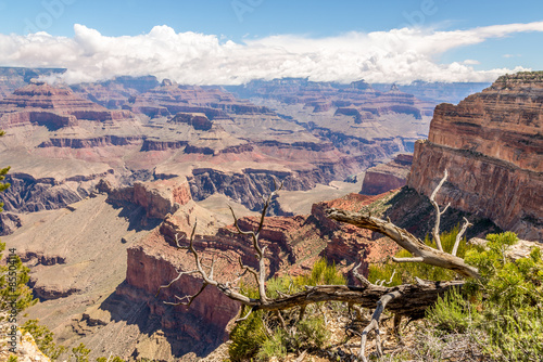 North Rim of Grand Canyon - View from Mohave point