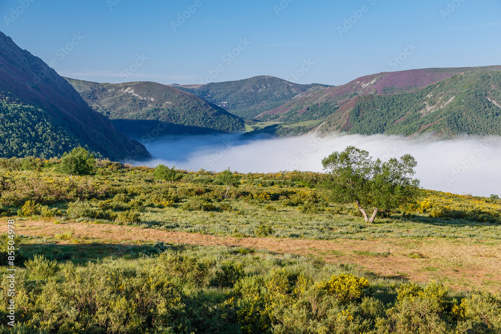 Niebla cubriendo el valle de Leitariegos, Asturias