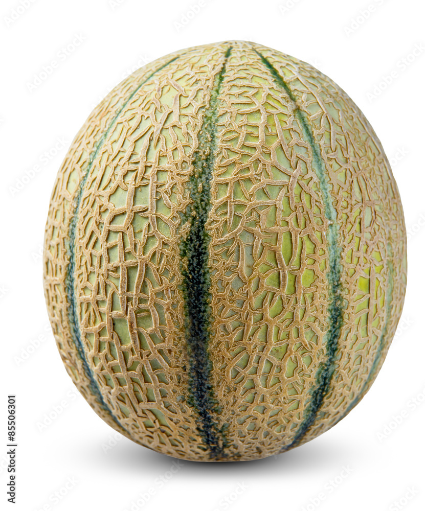 Cantaloupe Melon Fruit isolated on white background Cantaloupe Melon Fruit isolated on white background