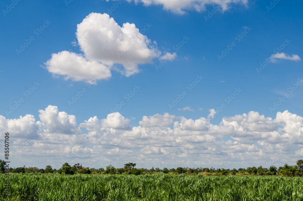 Obraz premium Clouds and sky 