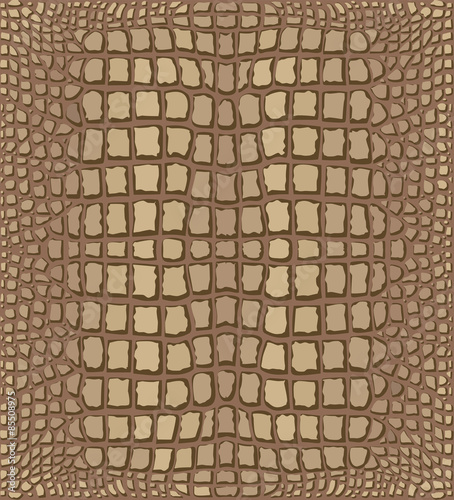 Crocodile Skin