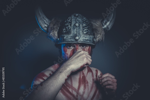 Fototapeta Naklejka Na Ścianę i Meble -  Viking warrior with a horned helmet and war paint on his face