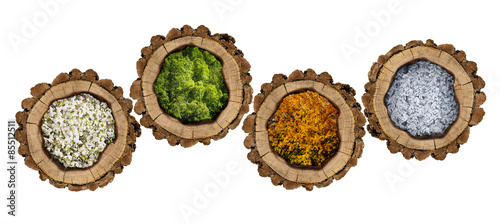 Holzscheiben gefüllt mit Jahrsezeiten