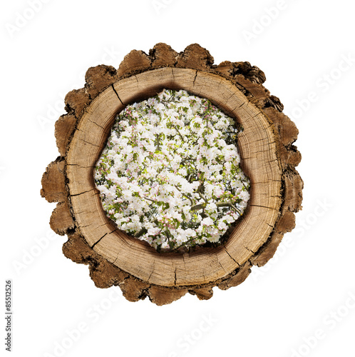 Holzscheibe gefüllt mit Apfelblüten