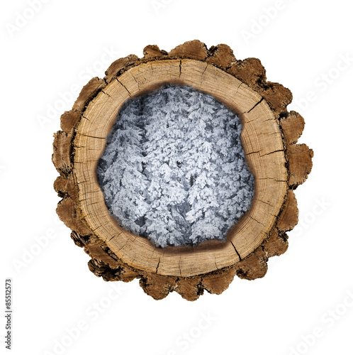 Holzscheibe gefüllt mit Verschneiten Tannenbäumen