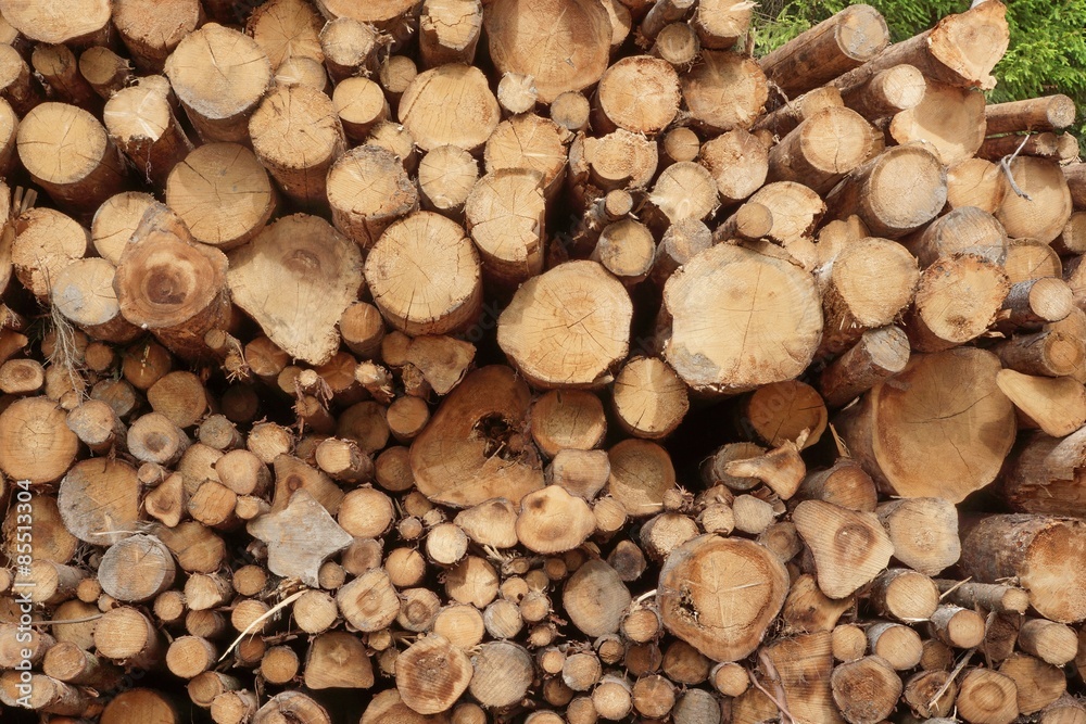 Many Big Pine Wood logs In Large Woodpile Background Texture Many Big Pine Wood logs In Large Woodpile Background Texture