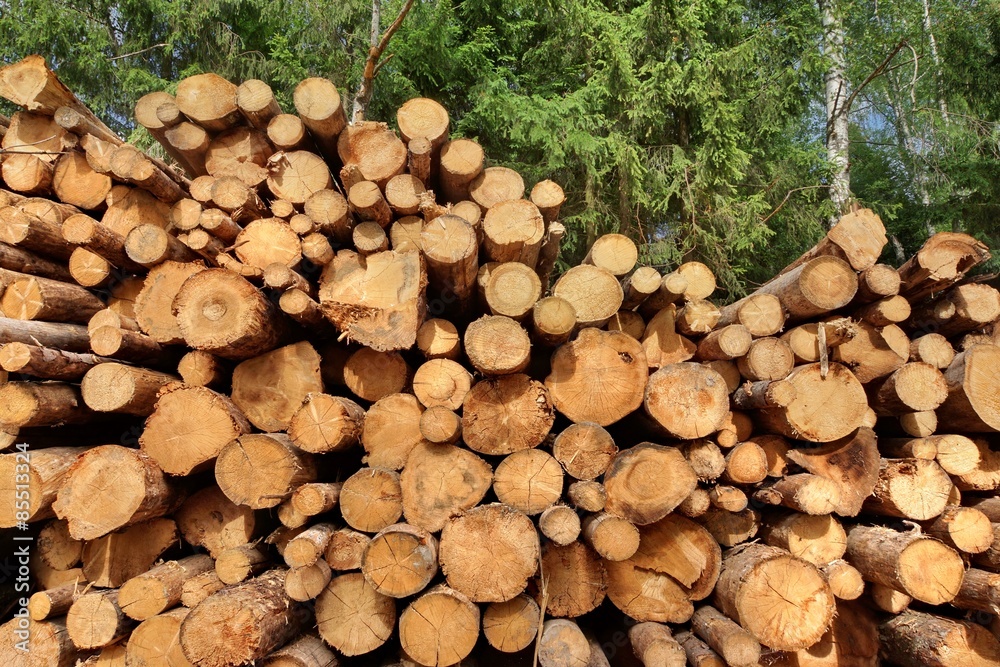 Woodpile From Sawn Pine And  Spruce Logs For Forestry Industry