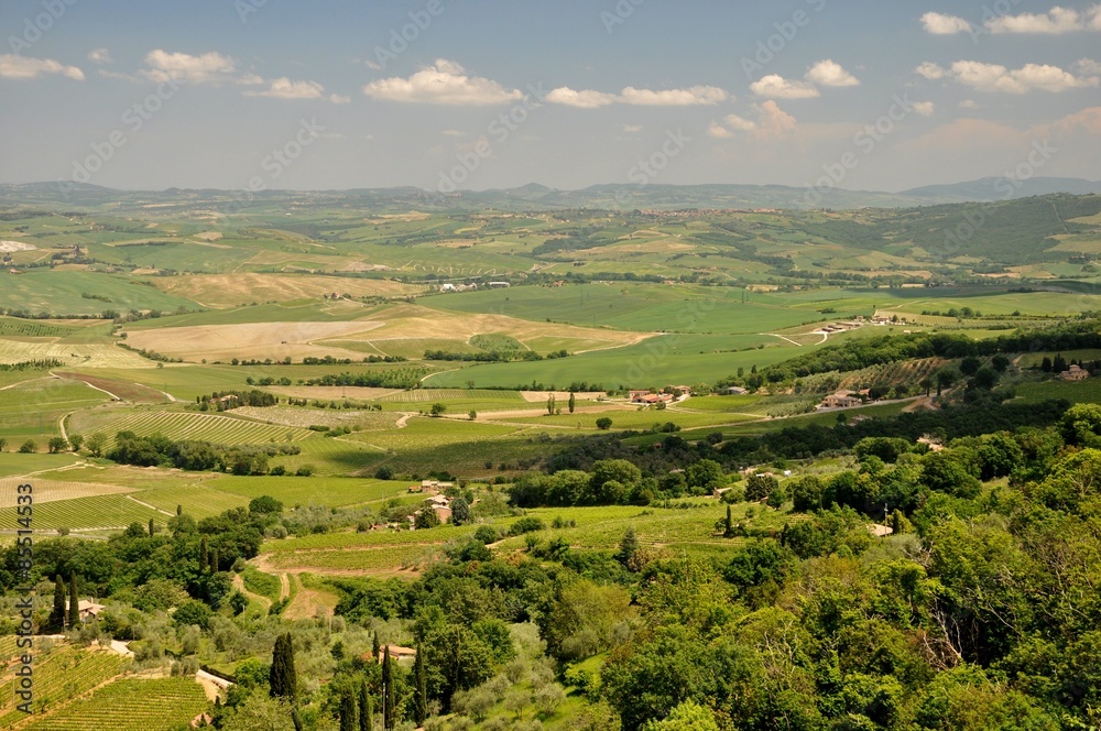 Obraz premium Montalcino in der Toskana