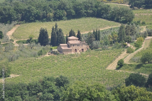 Montalcino in der Toskana