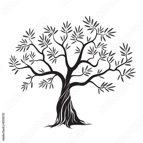 Vector olive tree.