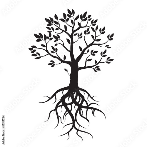 Black vector tree, leafs and roots