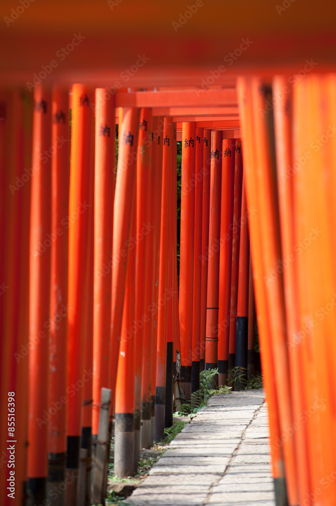 Torii Gates At Nezu Shrine, Tokyo, Japan Torii Gates At Nezu Shrine, Tokyo, Japan