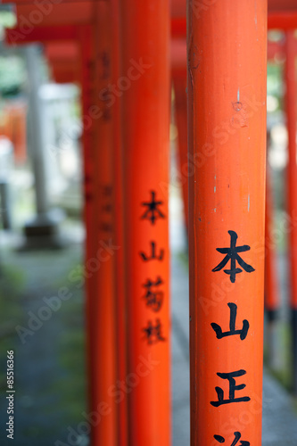 Torii Gates At Nezu Shrine, Tokyo, Japan