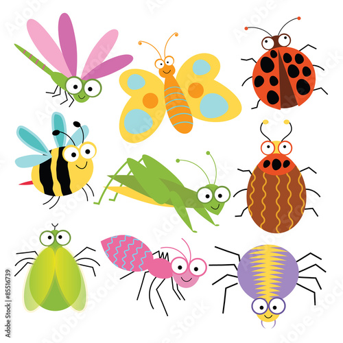 Colorful bug with variation style and color