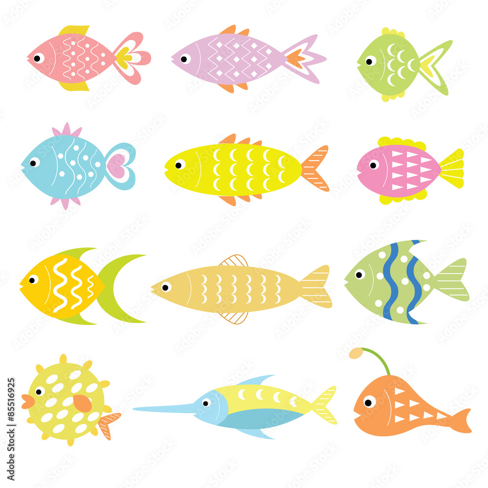 Fish colourful with variation style and colour