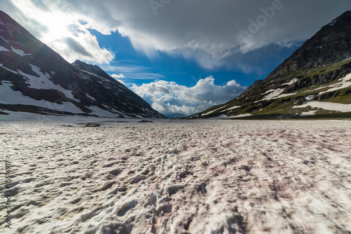 Red melting snow at high altitude in the Alps