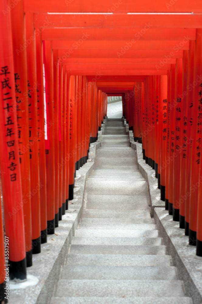 Torii Gates At Hie Shrine, Tokyo, Japan Torii Gates At Hie Shrine, Tokyo, Japan