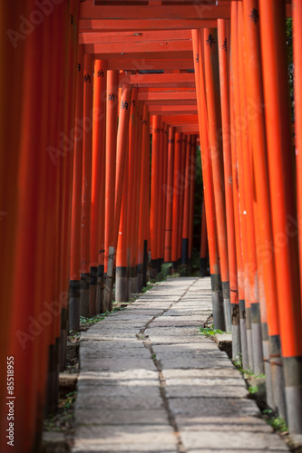 Torii Gates At Nezu Shrine  Tokyo  Japan