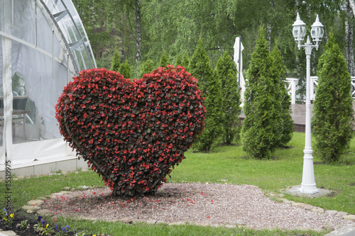 Big Heart (topiary figure) of fresh flowers in the park photo