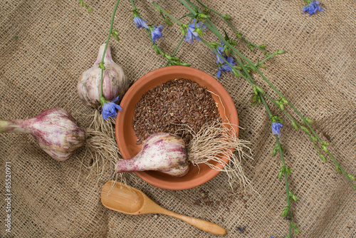 Fresh garlic and flax seeds