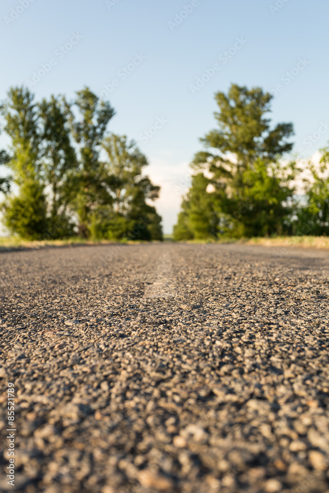Asphalt road among the blurred tree line Asphalt road among the blurred tree line