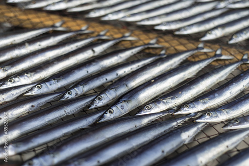 Fish drying under the sun in a shop in Ito, Shizuoka Prefecture, Japan