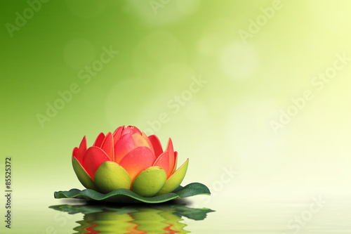 Spa concept. Red lotus flower on green background.