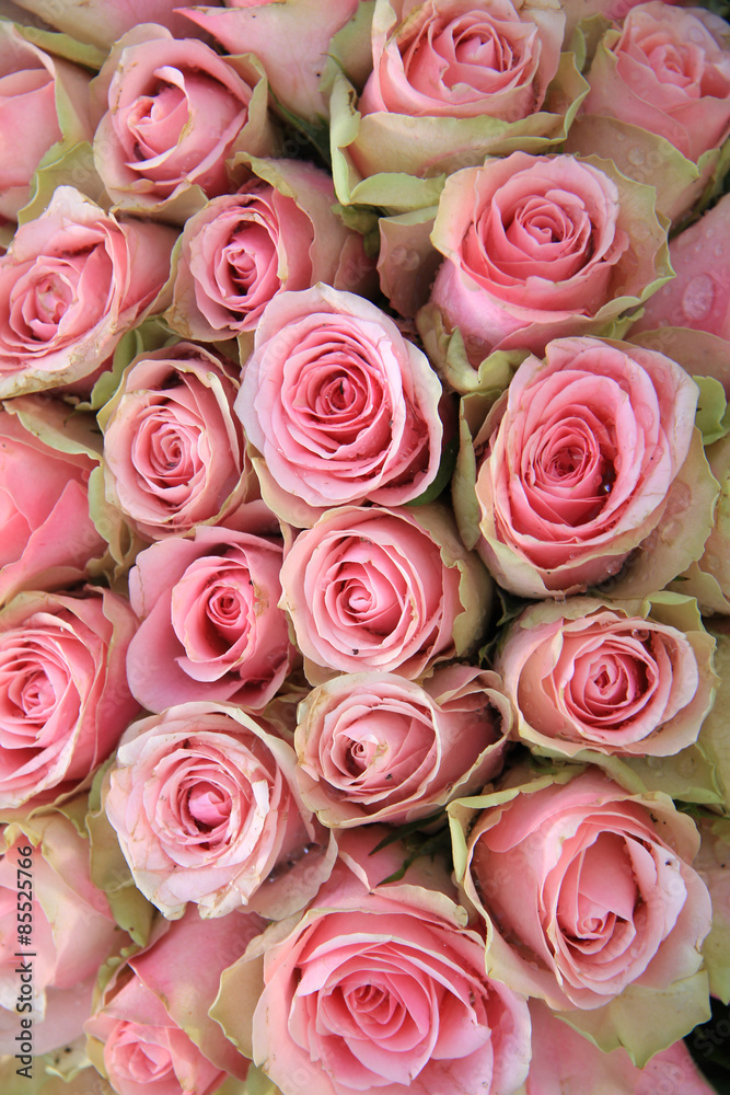 Pink roses in a wedding arrangement Pink roses in a wedding arrangement